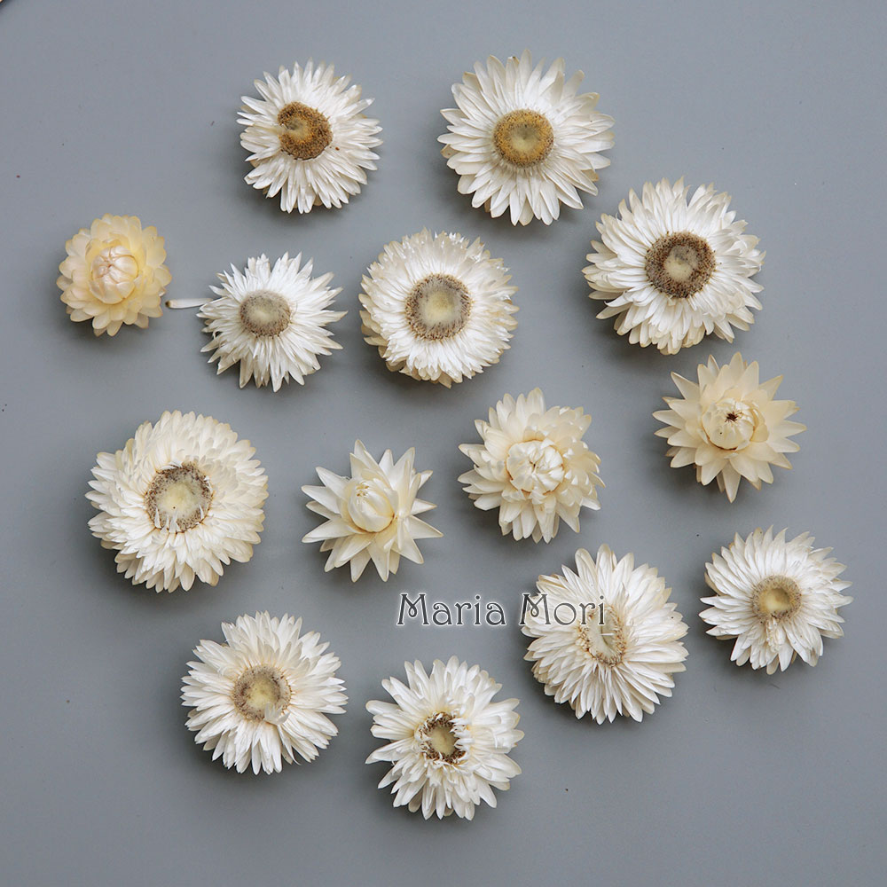 Baby Products For Bathing - Natural Dried Colorful Chrysanthemum Wreath Handmade